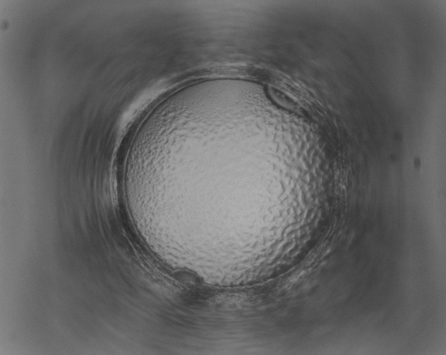 X0000077280294200611031532