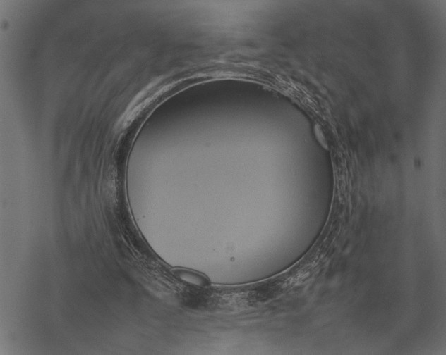 X0000077280295200611031532