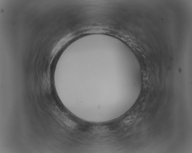 X0000077280296200611031532