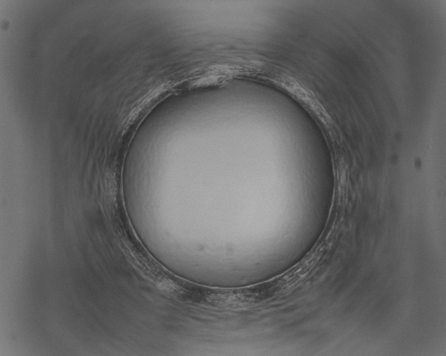 X0000077280297200611031532