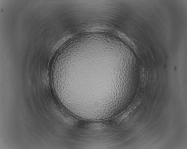 X0000077280298200611031532