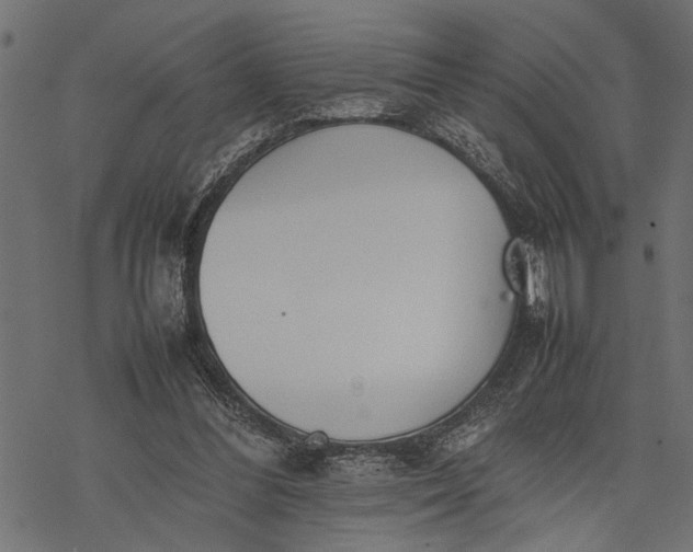 X0000077280300200611031532