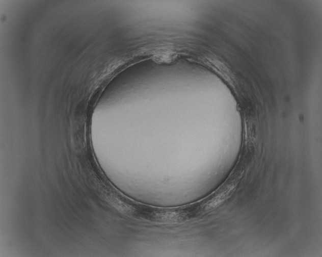 X0000077280301200611031532