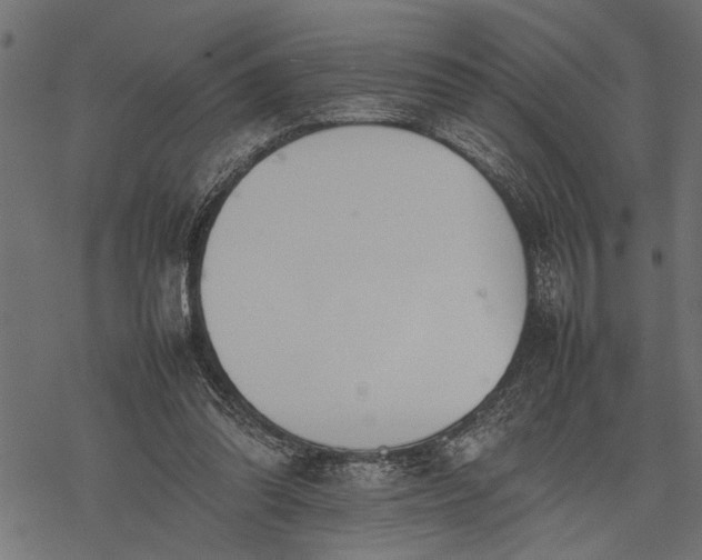 X0000077280302200611031532