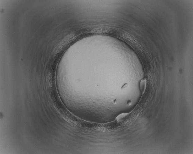 X0000077280303200611031532