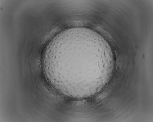 X0000077280306200611031532