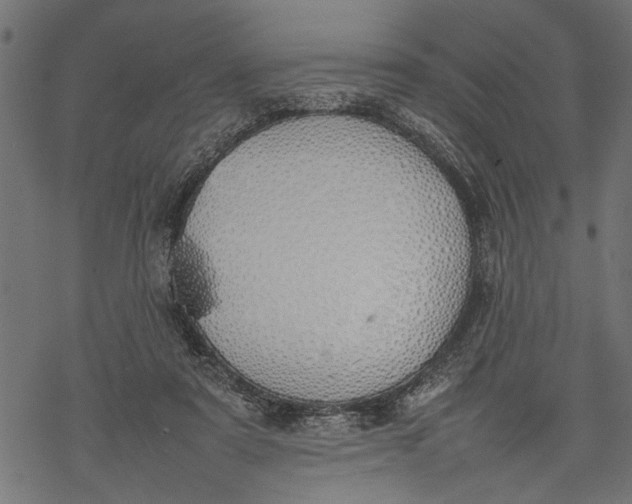 X0000077280307200611031532