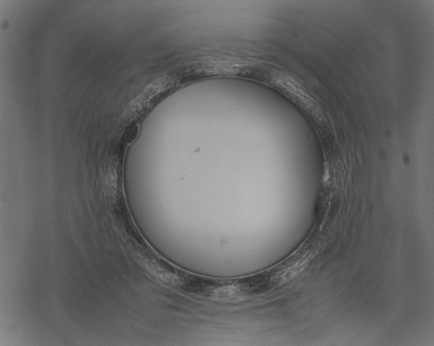 X0000077280309200611031532