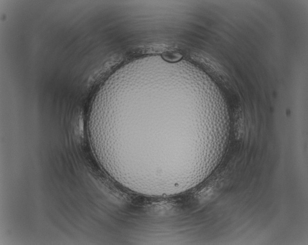 X0000077280310200611031532