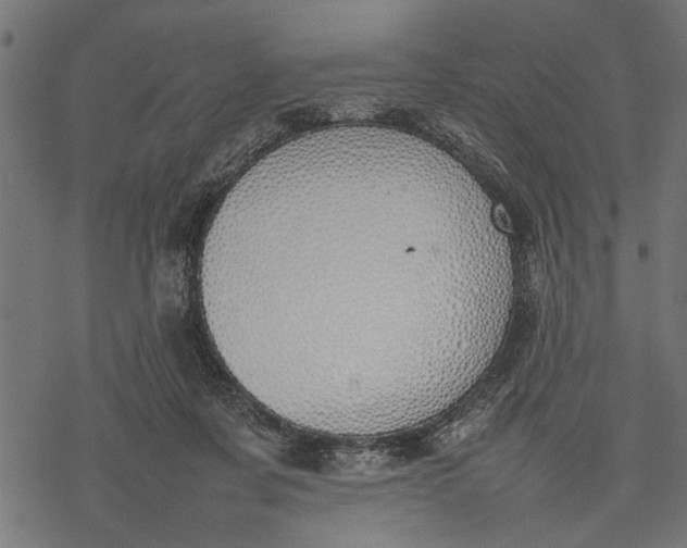 X0000077280311200611031532