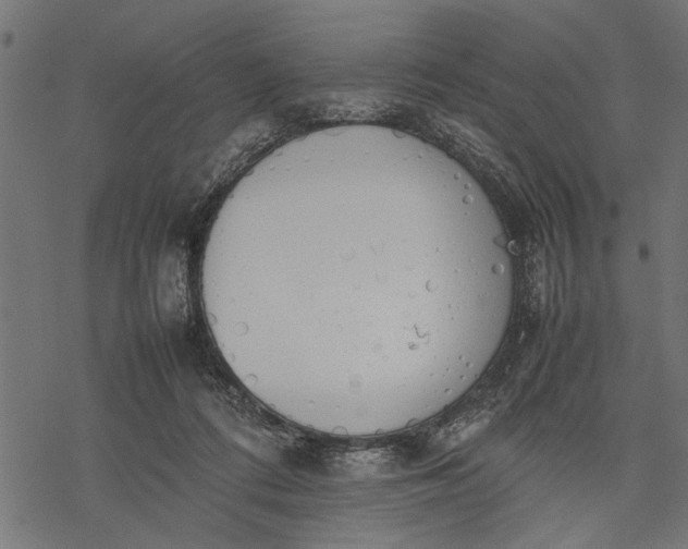 X0000077280312200611031532