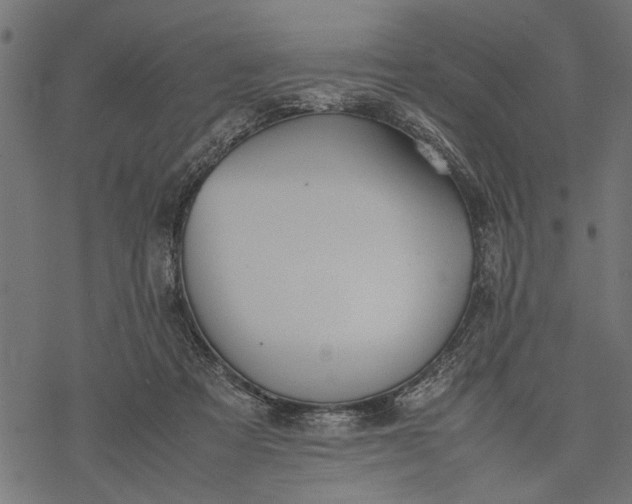 X0000077280313200611031532