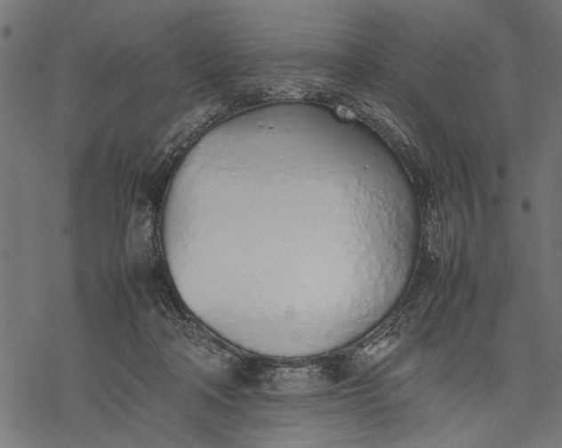 X0000077280314200611031532