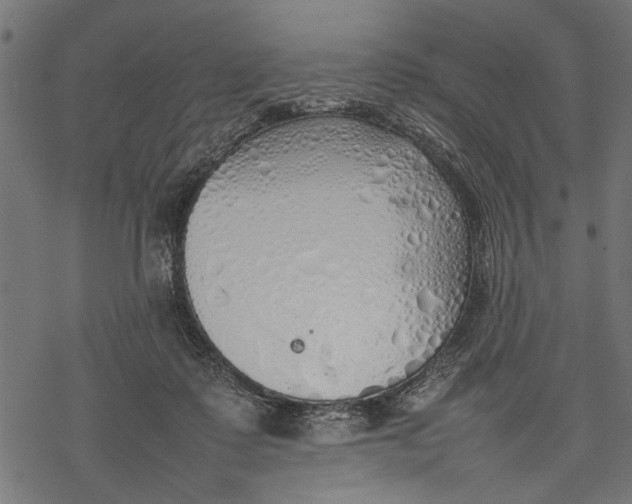 X0000077280315200611031532