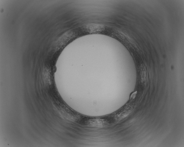 X0000077280316200611031532