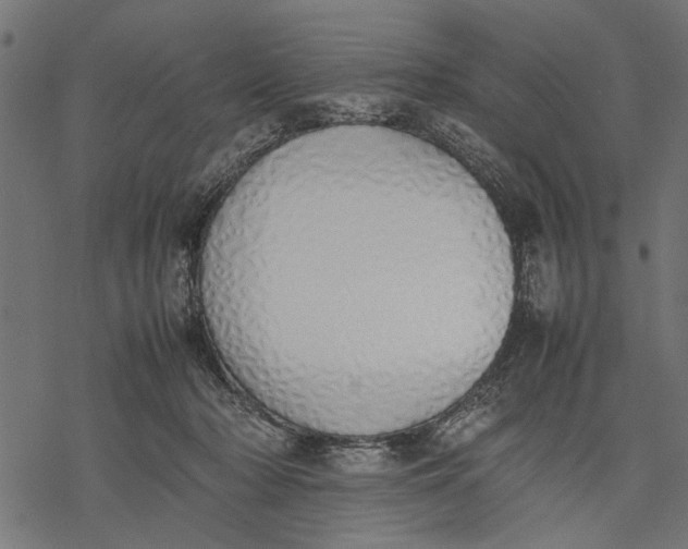 X0000077280318200611031532