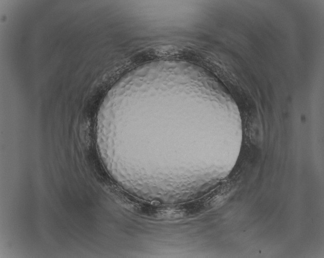 X0000077280319200611031532