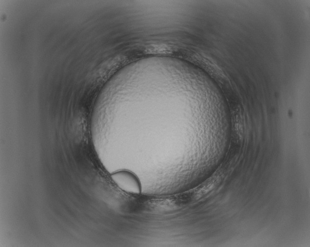 X0000077280322200611031532