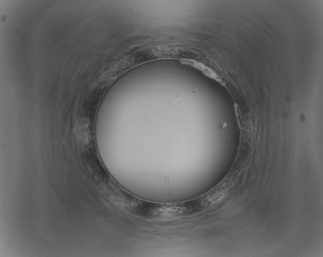 X0000077280323200611031532