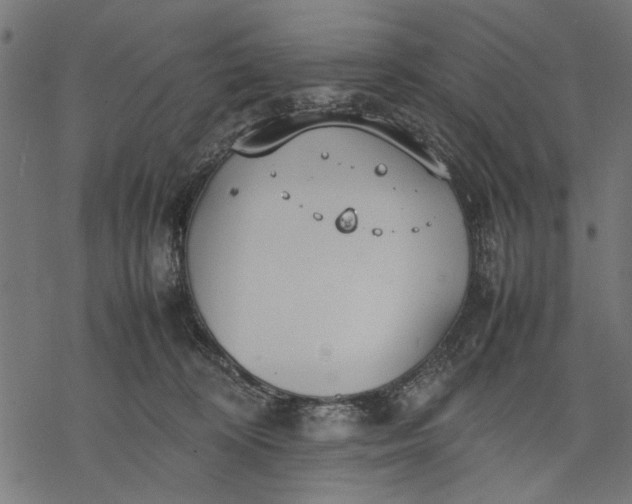 X0000077280324200611031532