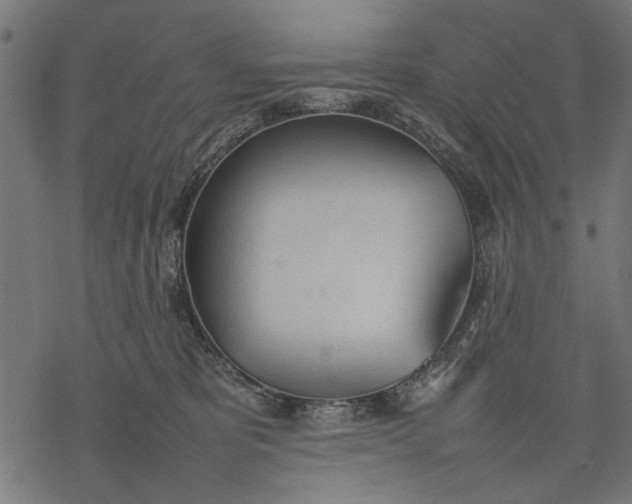 X0000077280325200611031532