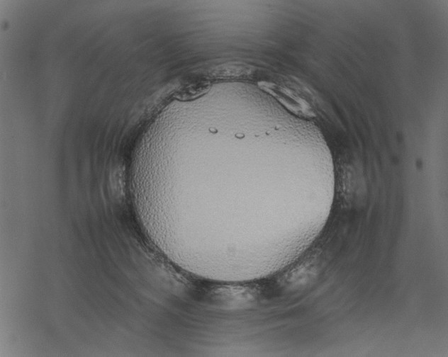 X0000077280326200611031532