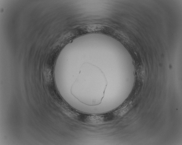 X0000077280327200611031531