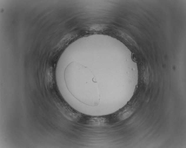 X0000077280328200611031531