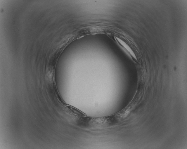 X0000077280329200611031531