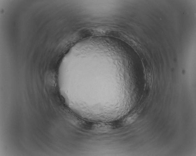 X0000077280331200611031531