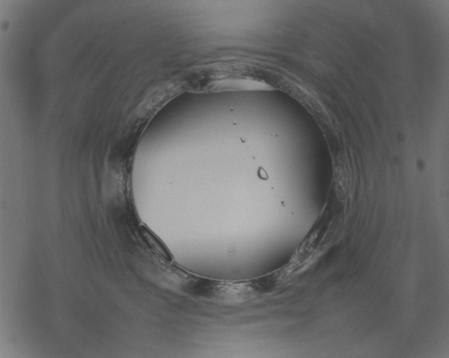 X0000077280333200611031531