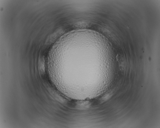 X0000077280334200611031531