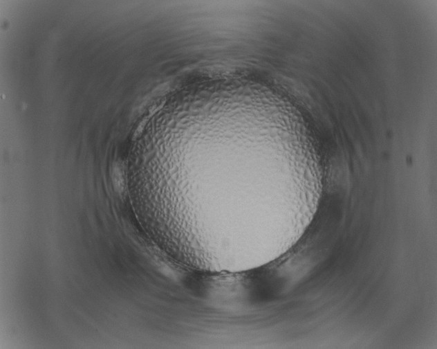 X0000077280335200611031531