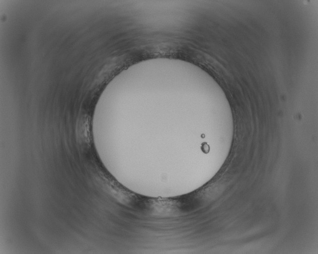 X0000077280336200611031531