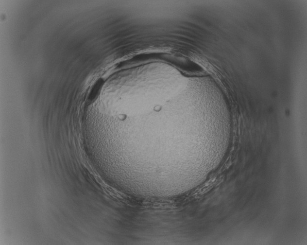 X0000077280337200611031531