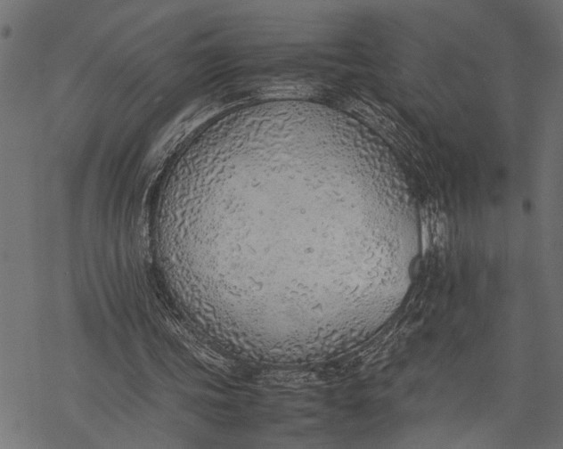 X0000077280339200611031531