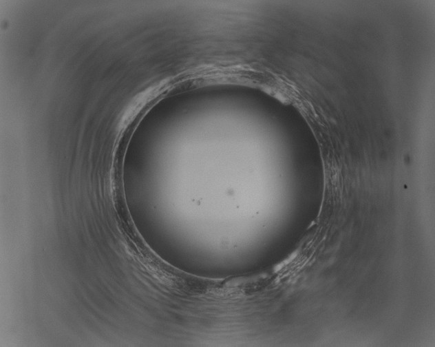 X0000077280340200611031531