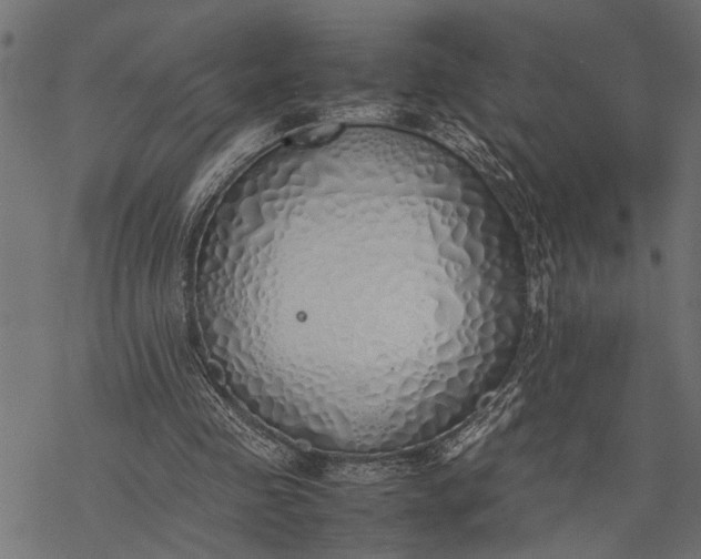 X0000077280341200611031531