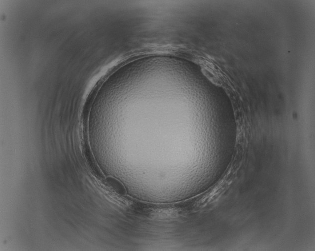 X0000077280342200611031531