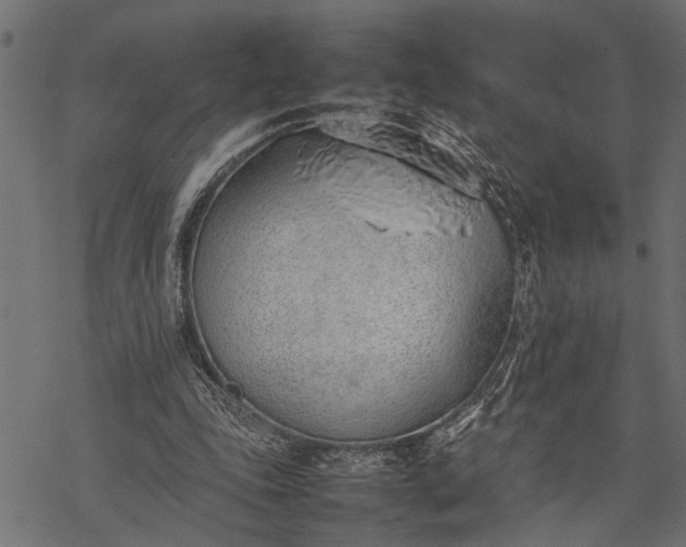 X0000077280343200611031531