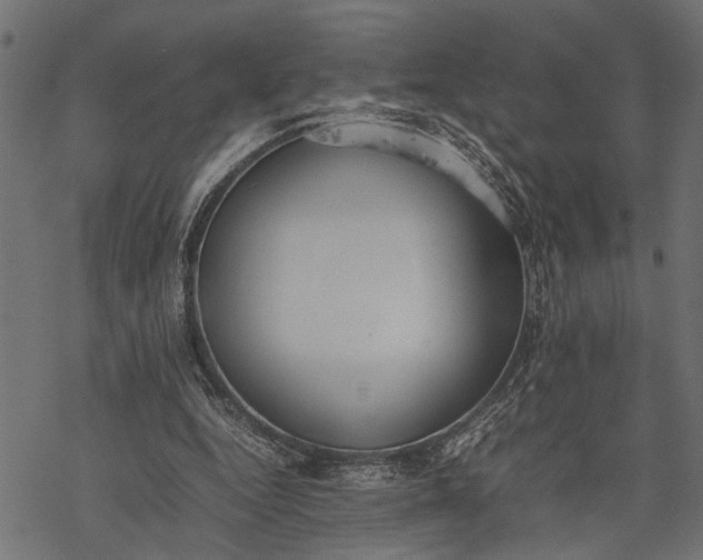 X0000077280344200611031531