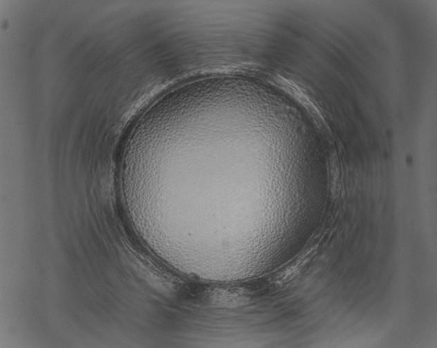 X0000077280346200611031531