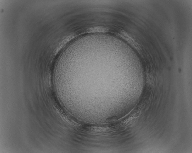 X0000077280347200611031531