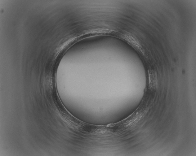 X0000077280348200611031531