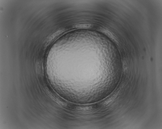 X0000077280349200611031531