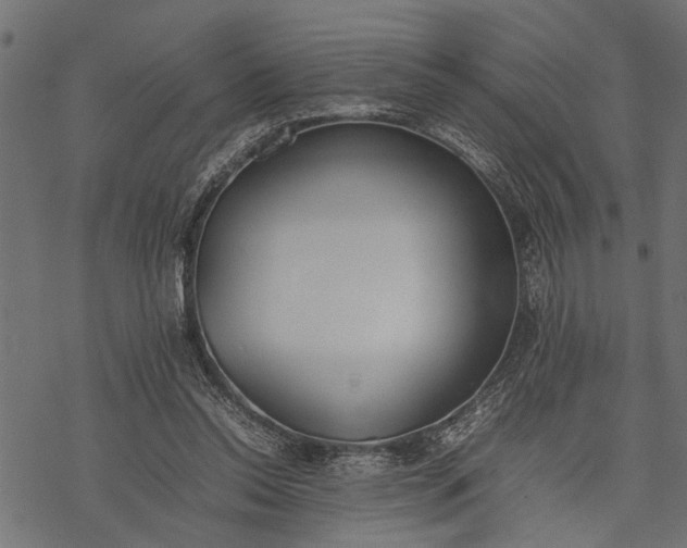 X0000077280350200611031531