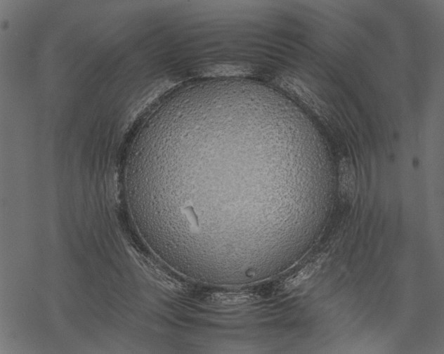 X0000077280351200611031531