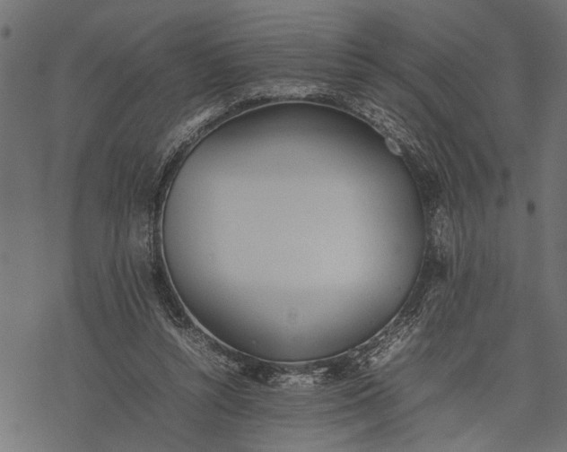 X0000077280352200611031531