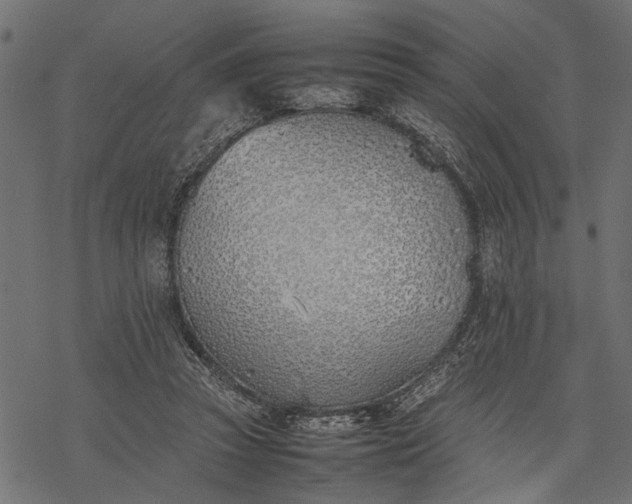 X0000077280353200611031531