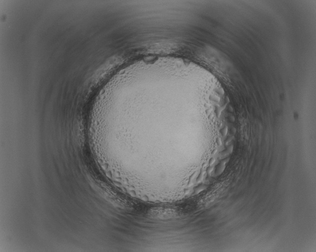 X0000077280354200611031531